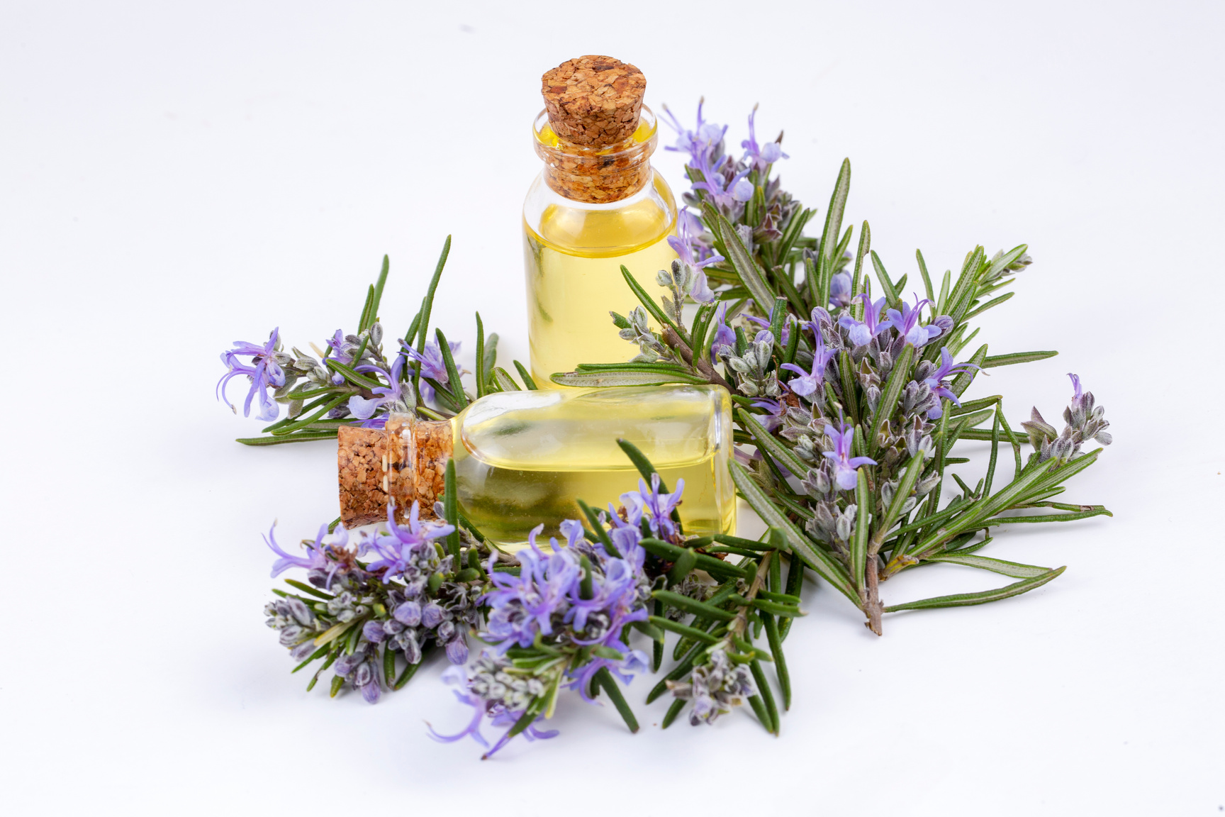 Rosemary essential oil in a small bottle. Natural aroma cosmetic oil