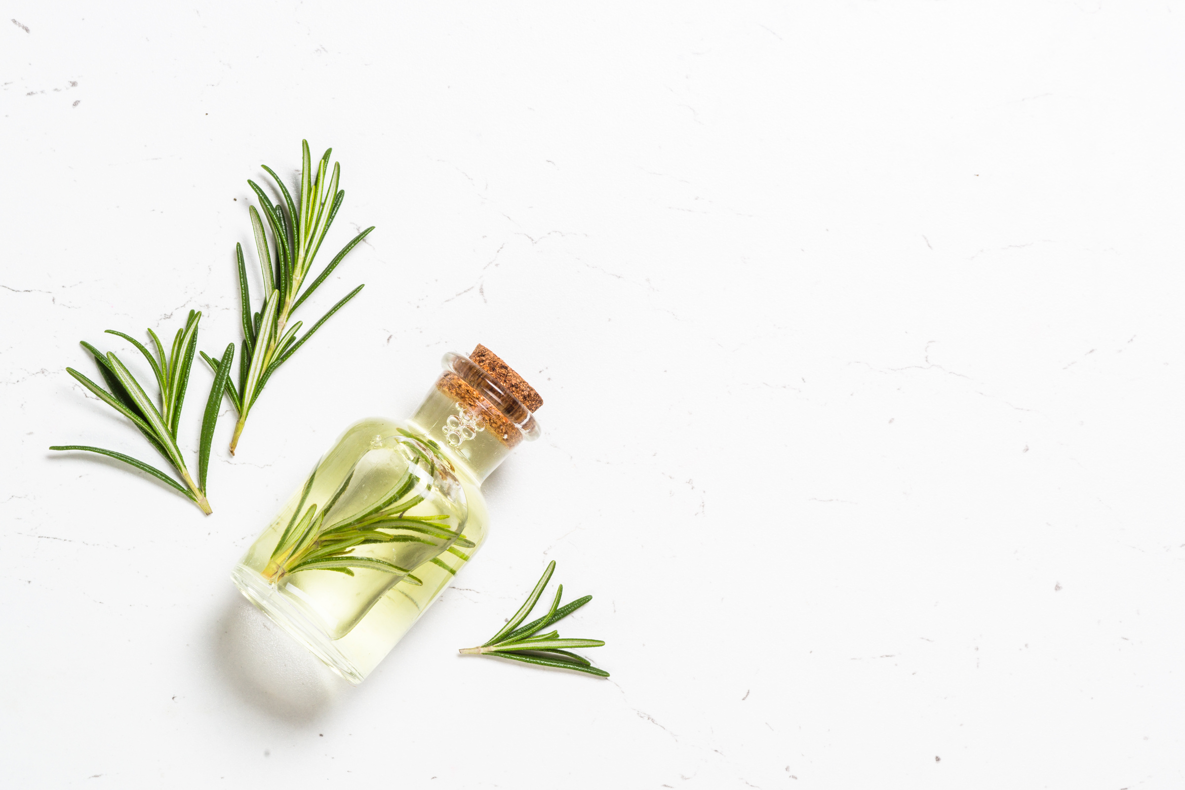 Rosemary Essential Oil in the Bottle 